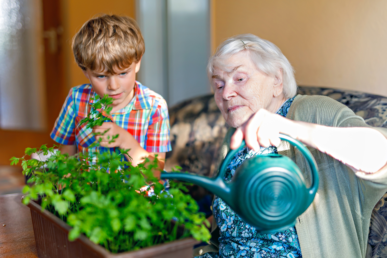 AmeriCorps Seniors – Foster Grandparent Program (FGP) - Community Teamwork